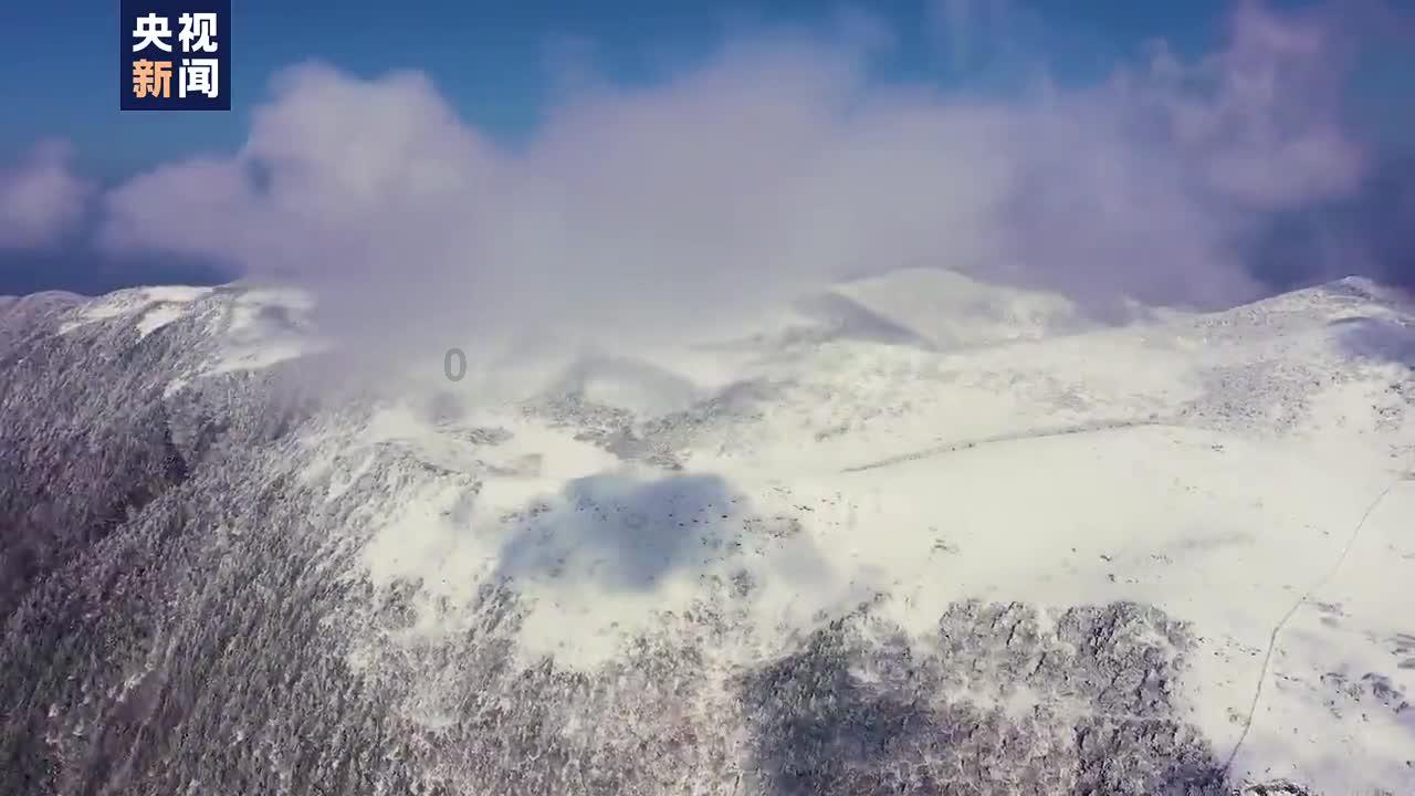 犀牛森林大逃生